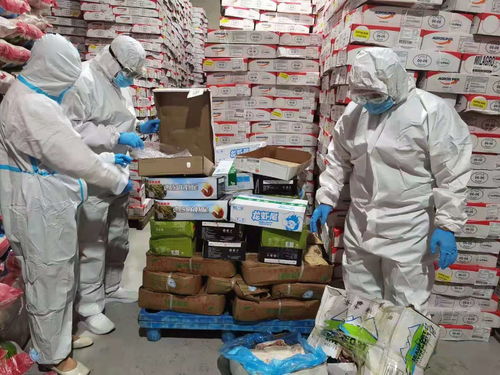 烏蘭察布市場(chǎng)監(jiān)管局強(qiáng)化進(jìn)口冷鏈?zhǔn)称放c奶制品監(jiān)管，突擊檢查批發(fā)及進(jìn)出口環(huán)節(jié)